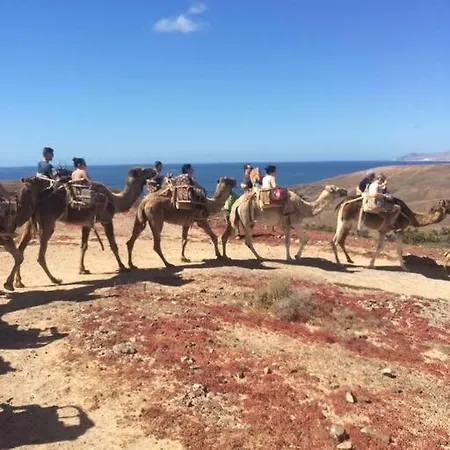 Front With Stunning Ocean Views! 科斯塔卡玛