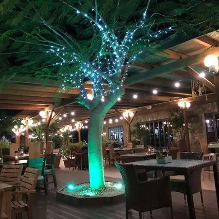 Front With Stunning Ocean Views!